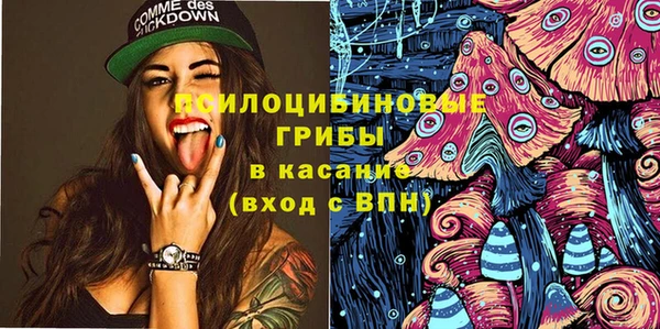сатива Алексеевка