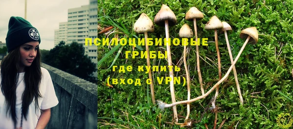 сатива Алексеевка