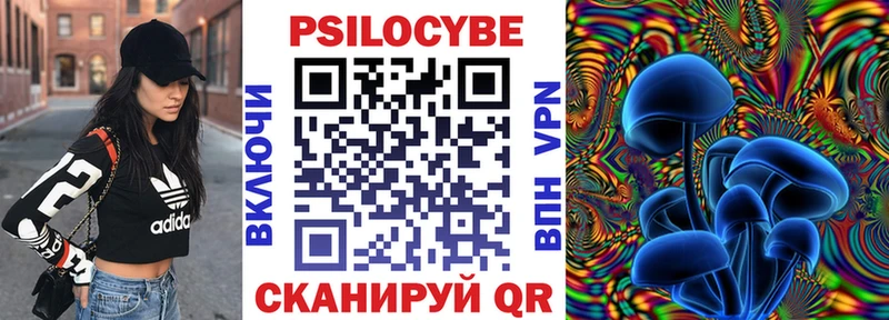 Псилоцибиновые грибы мицелий  закладки  Ревда 